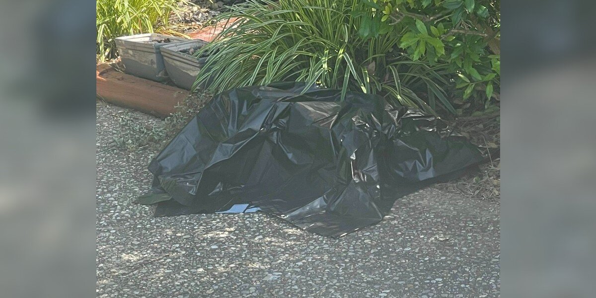 Woman Lifts A Black Plastic Bag And Uncovers A Precious Life Needing ...