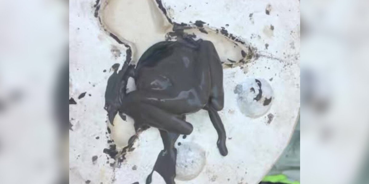 Ceramicist Sees Something Stuck In His Mold — Then Realizes They’re Legs