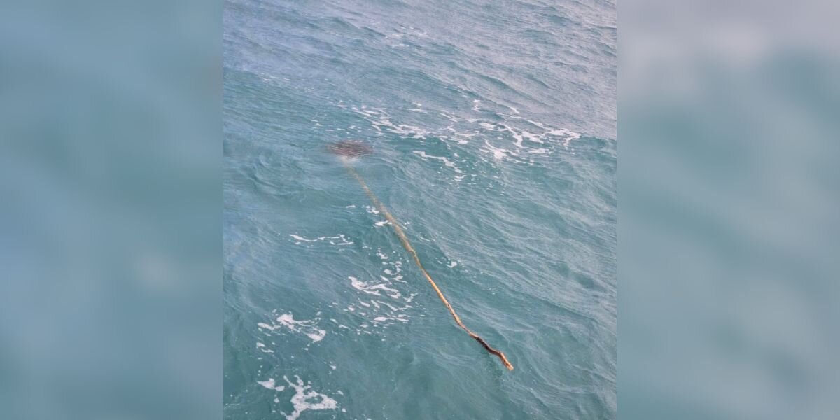 Kite Surfer Notices Stick In The Waves — Then Realizes Someone’s Stuck On The End Kite Surfer Notices Stick In The Waves — Then Realizes Someone’s Stuck On The End