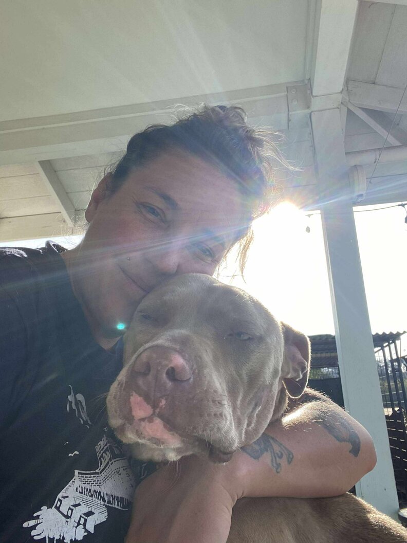 dog found in abandoned truck