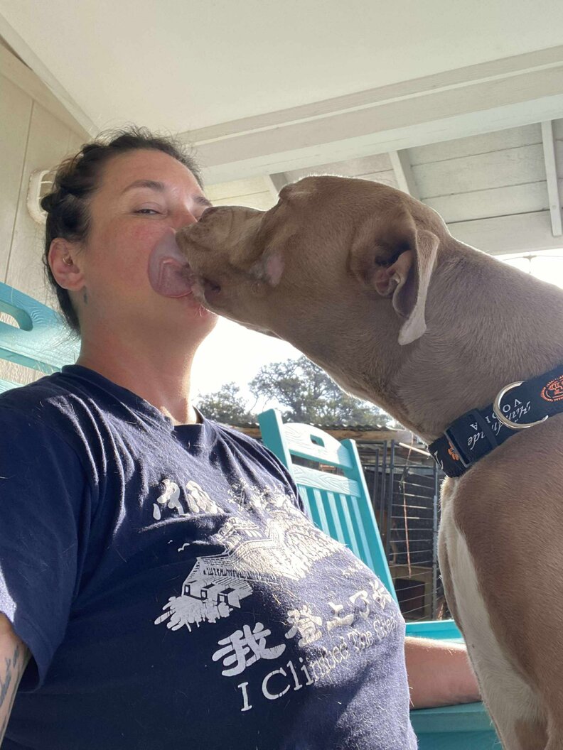rescued dog