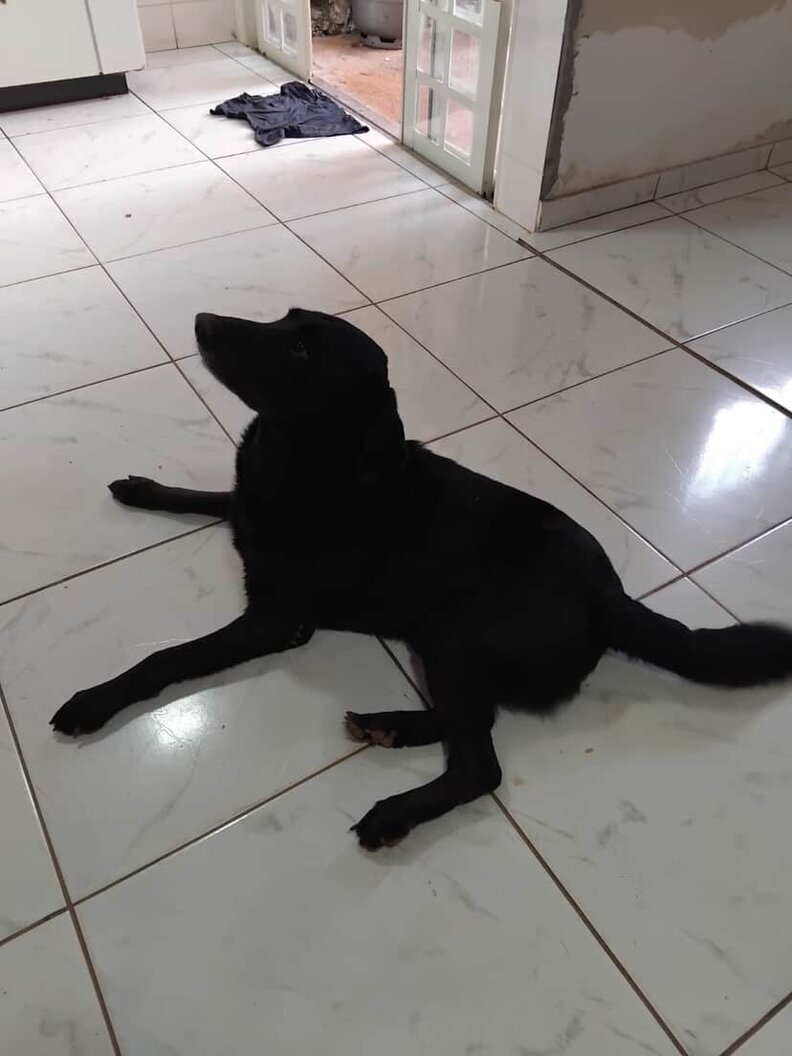 Another Picture of Ted