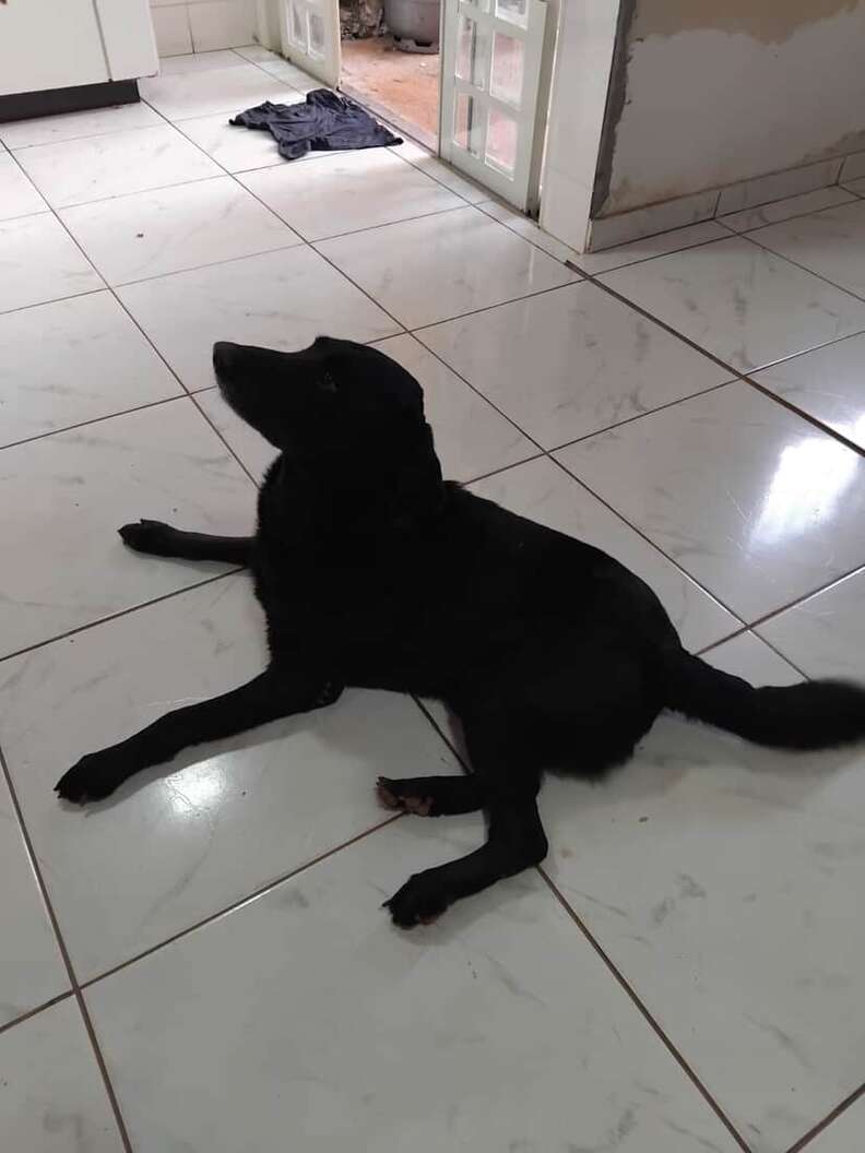 Another Picture of Ted