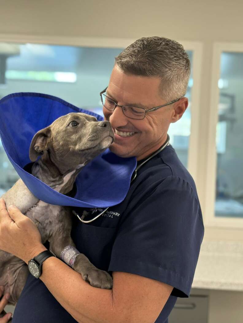 'Miracle' Puppy Surprises Everyone With Incredible Rebound After Traumatic Injury