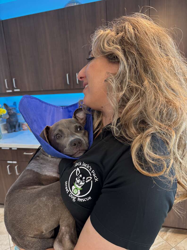 'Miracle' Puppy Surprises Everyone With Incredible Rebound After Traumatic Injury