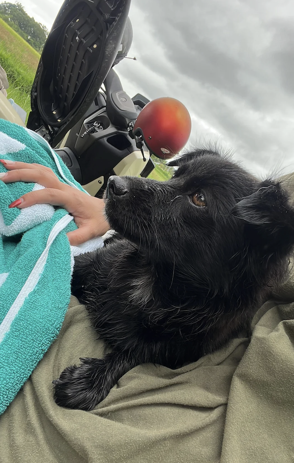 ルナのお風呂タイム