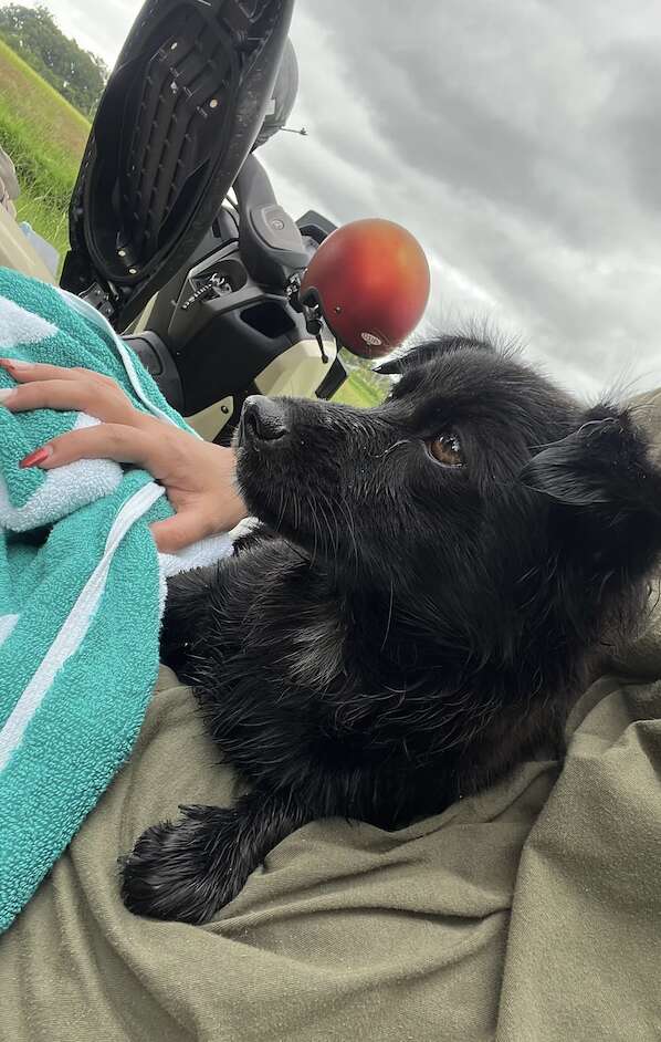 ルナのお風呂タイム