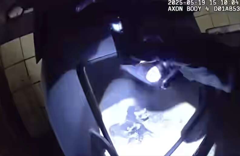 動物たちがストーブにいる様子