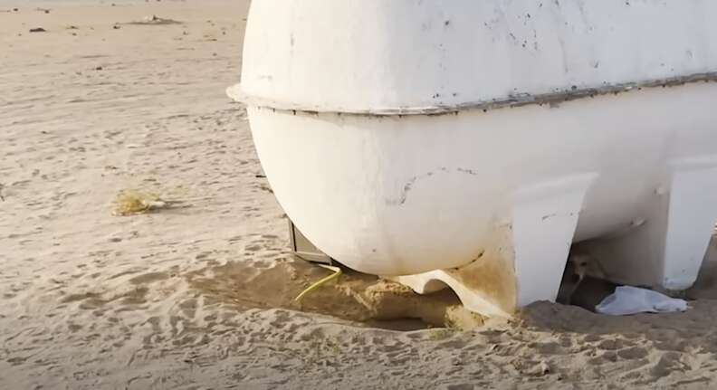 Dog Left In Desert Digs Hole Under Water Tank To Protect Something Important