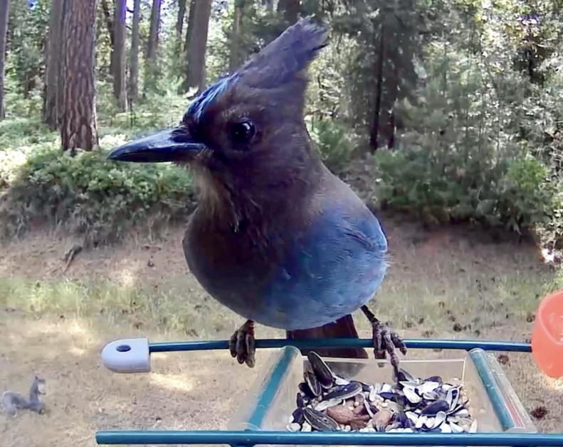 今後の設置位置