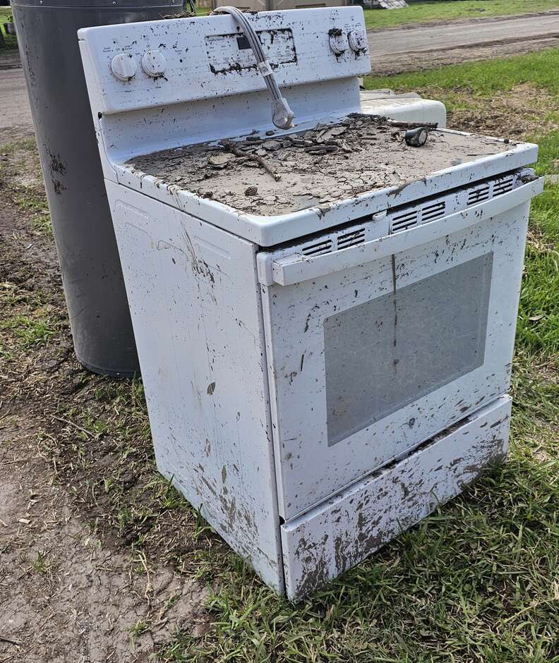 Cat rescued from oven after flood