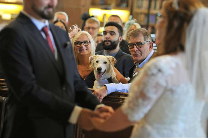 ブルーノの結婚式の思い出