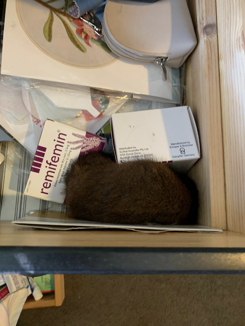 幸せなポッサム