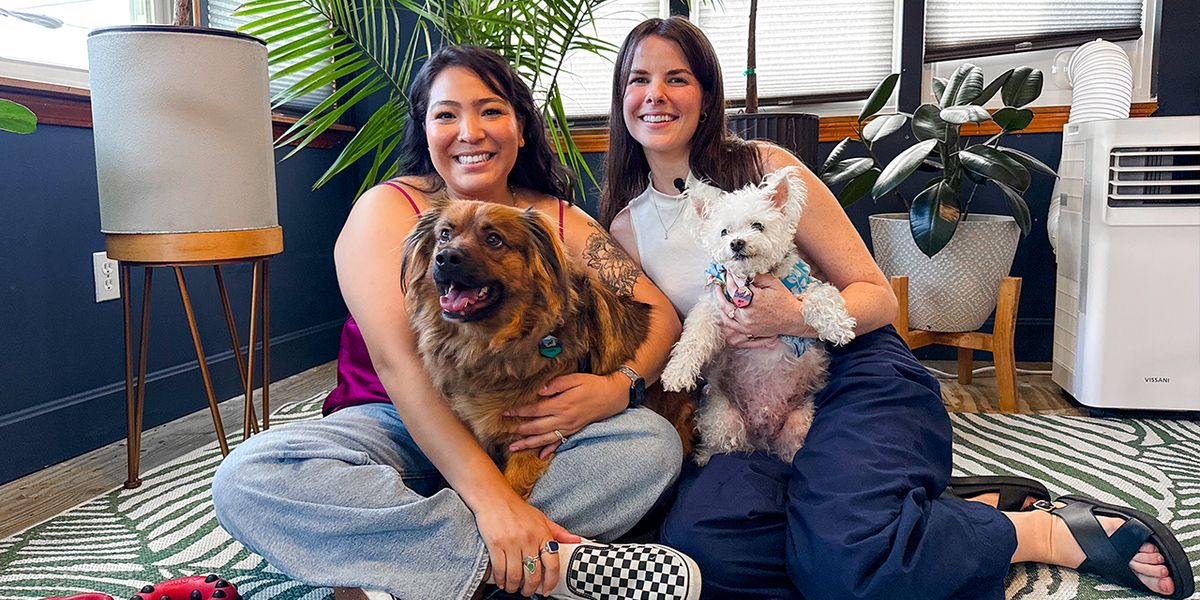 Woman Converts Her Porch To A Dog Paradise - Videos - The Dodo