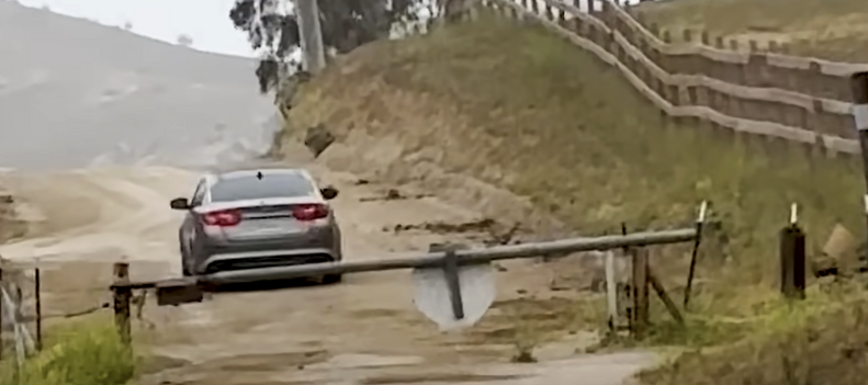 車に捨てられる猫