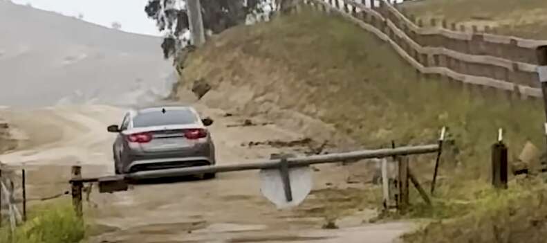 車に捨てられる猫