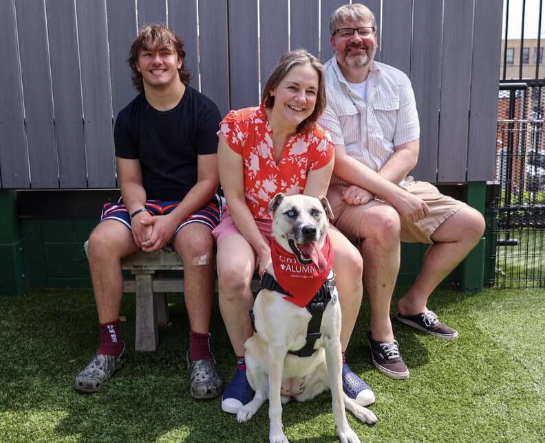Overlooked Shelter Pup Loses It When She Realizes Goodbye Party Is For Her