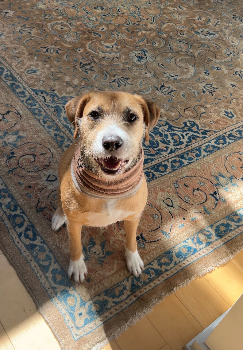 Kairoとの素敵な時間