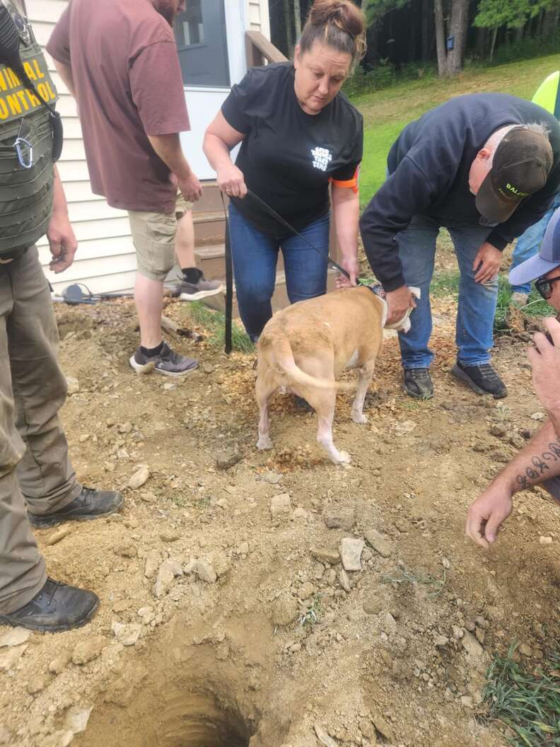 Dog Goes Outside To Use The Bathroom — And This Is How Rescuers Find Him
