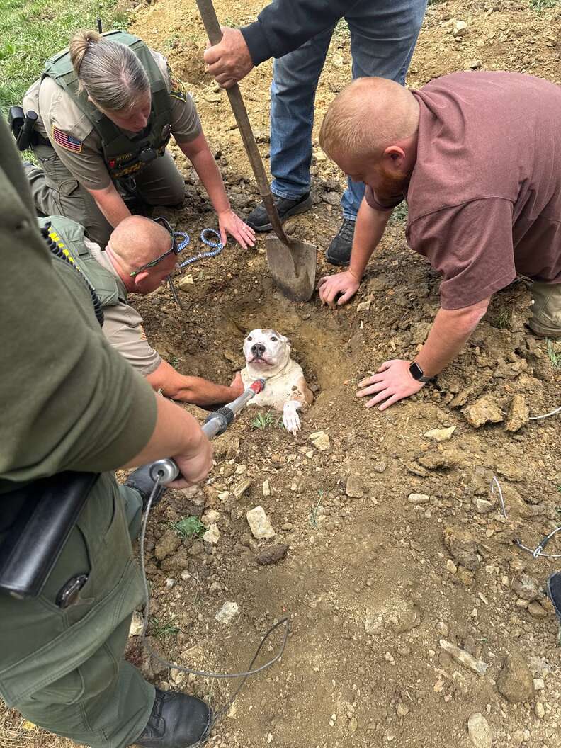 Dog Goes Outside To Use The Bathroom — And This Is How Rescuers Find Him