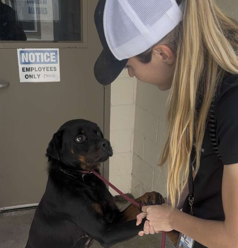 Frightened Puppy Will Only Leave Shelter Kennel If Someone Is Holding His Paws