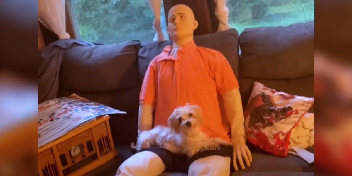 Anxious Little Dog Meets A 'Creepy' Life-Size Doll And Decides It's His BFF