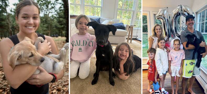families with dogs