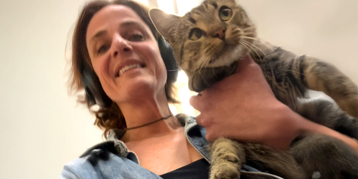 Woman Goes for Pizza and Ends Up Rescuing the Most Adorable Stray Cat ...