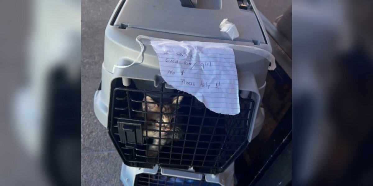 Little Family Cries Out From Stacked Carriers Left With Nothing But A Note