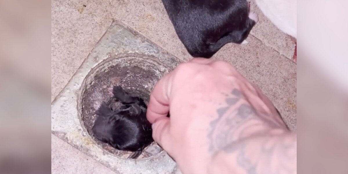 Woman Wanders Into Abandoned House And Finds Someone Tiny Stuck In The Floor