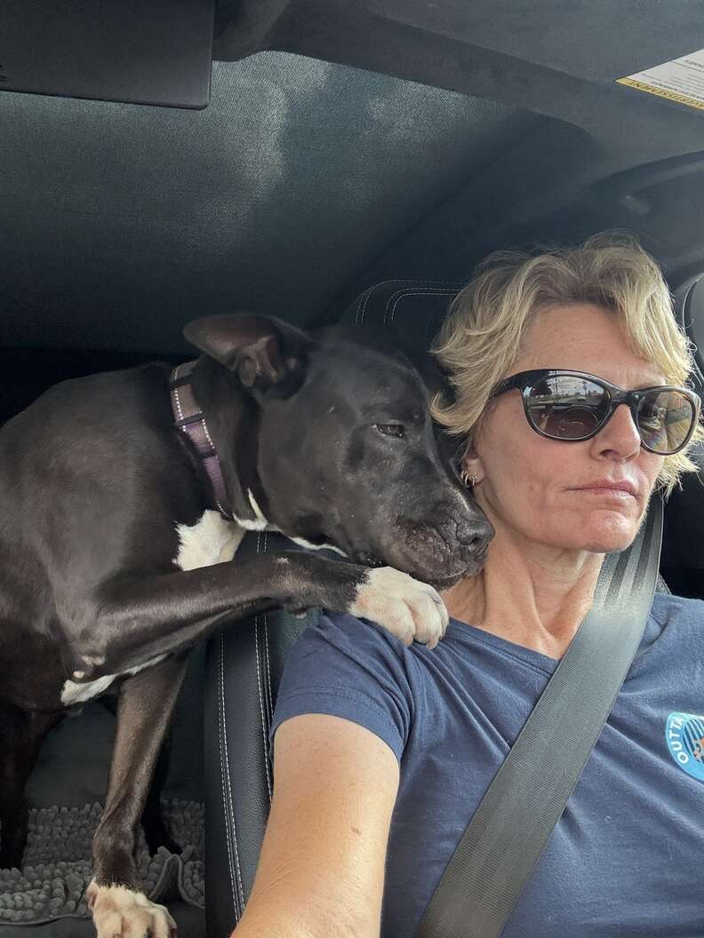 Shelter Dog Comforts Disappointed Rescuer After Adopter Bails On Them