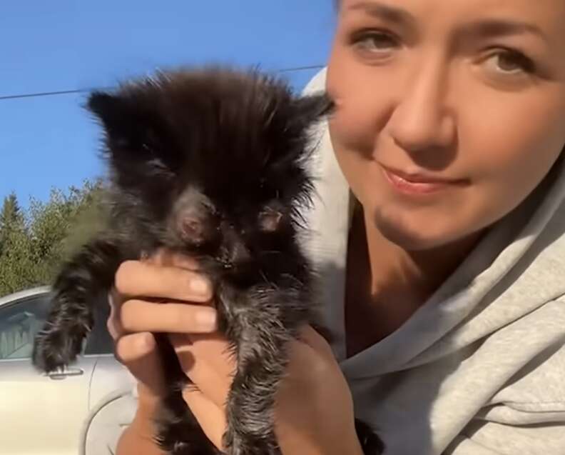 マウスとコラライン