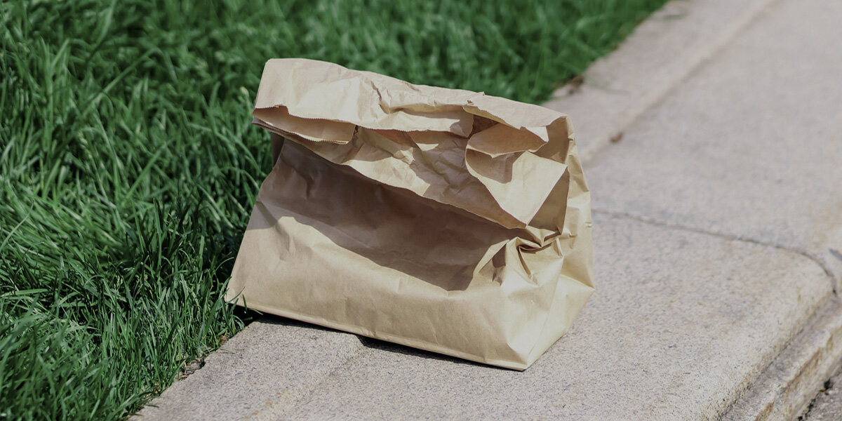 Dog Goes To Sniff ‘Paper Bag’ He Found In Park — Then Jumps When It Starts Meowing