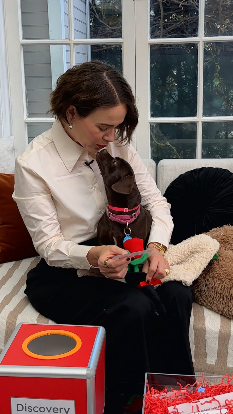 サラ・ポールソン