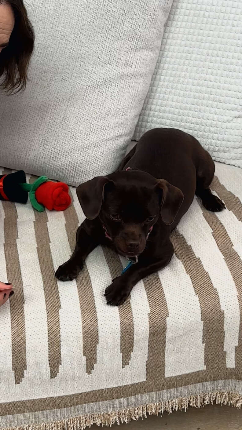 サラ・ポールソン