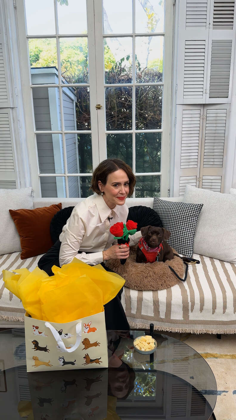 サラ・ポールソン