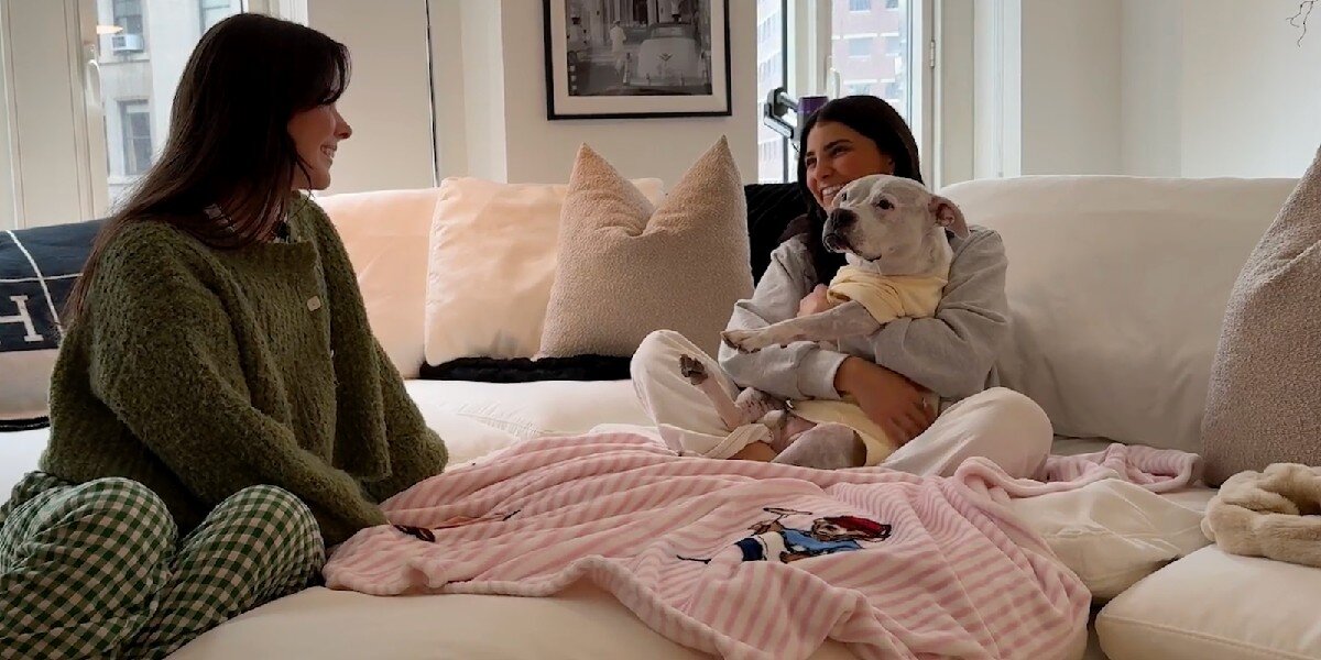Fashion Designer Creates An Impossibly Cozy Apartment For Her Sleepy Senior Pittie