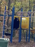 Still frame from camera footage of shelter visitors