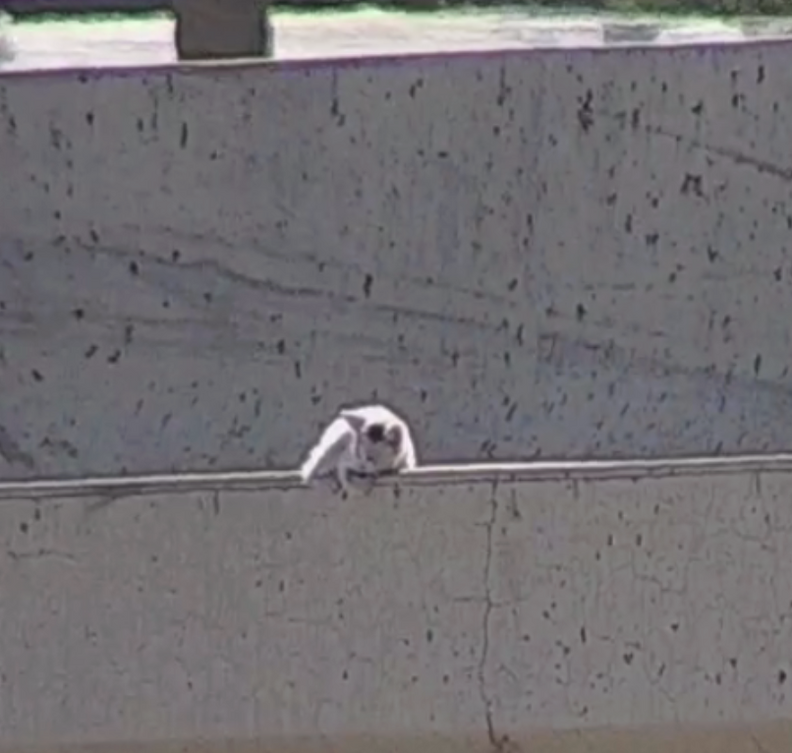 救助アクション