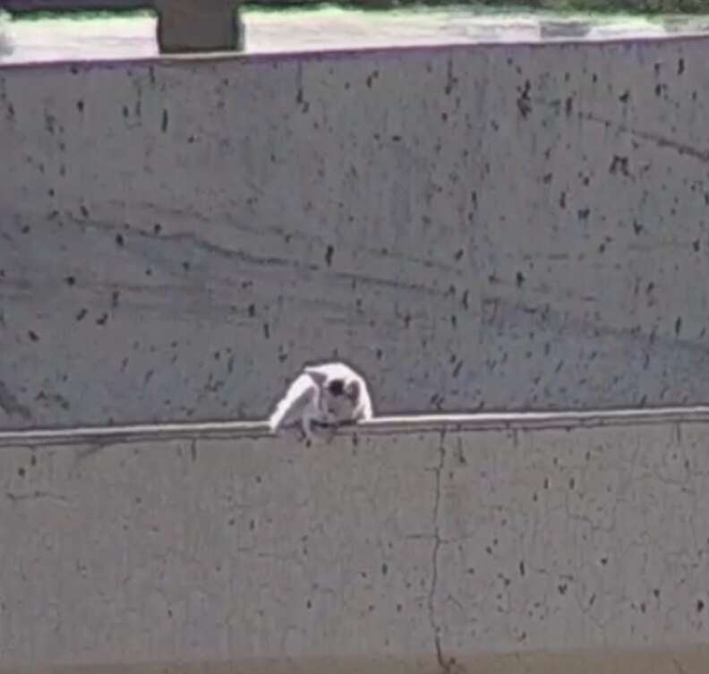 救助アクション