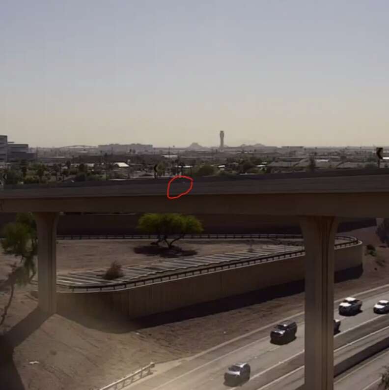 Responder turns safety jacket inside out to calm kitten