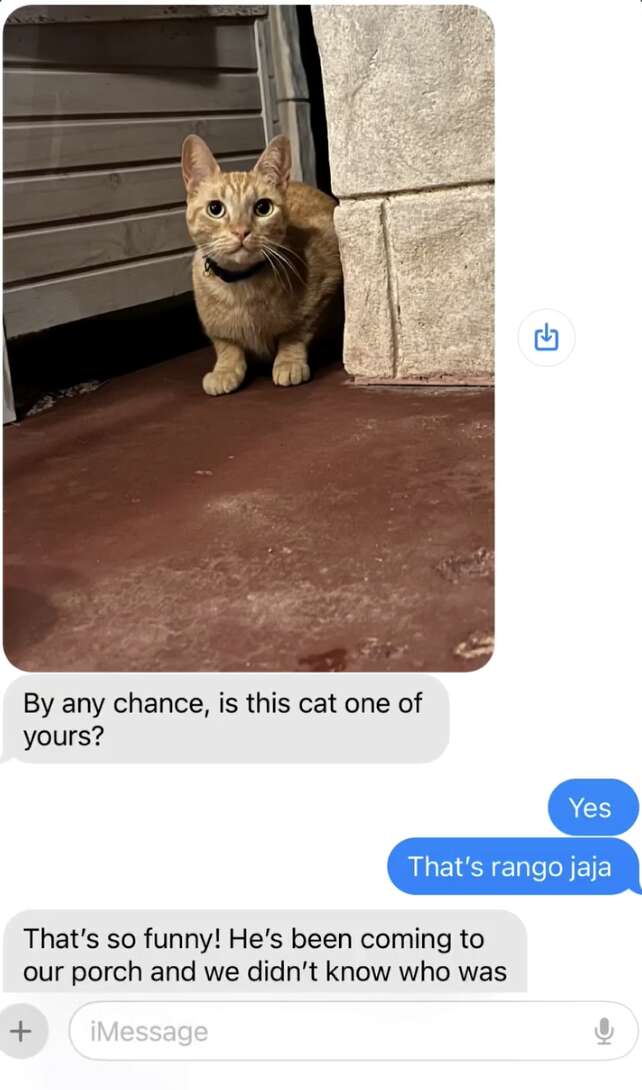 Close-up of the note asking about Rango’s identity