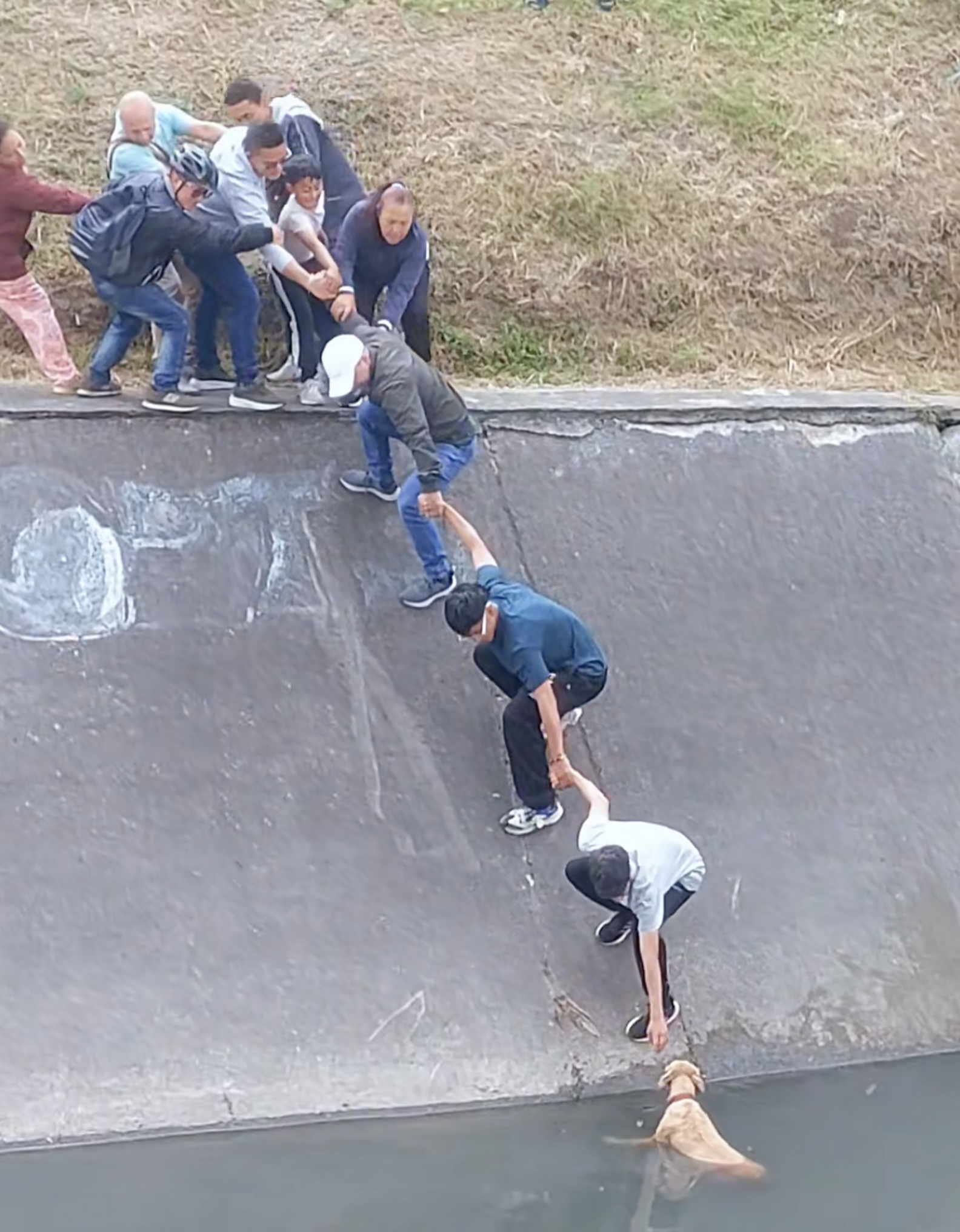 Faith Restored As Neighbors Form Human Chain To Save Dog Trapped In ...