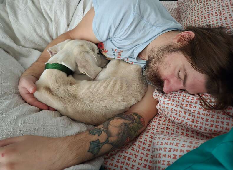 Puppy Found āCold To The Touchā In Cardboard Box Only Had Moments Left To Live