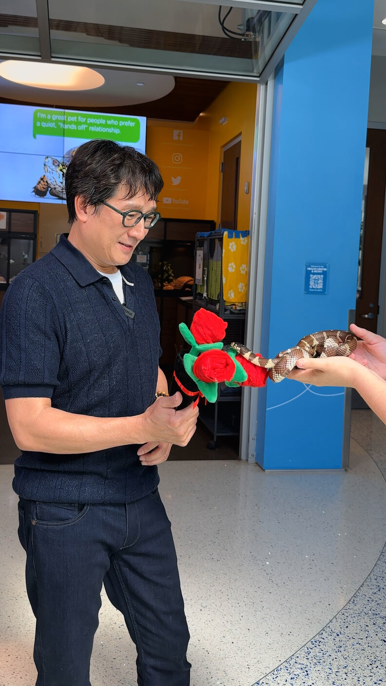 サリーとの出会い