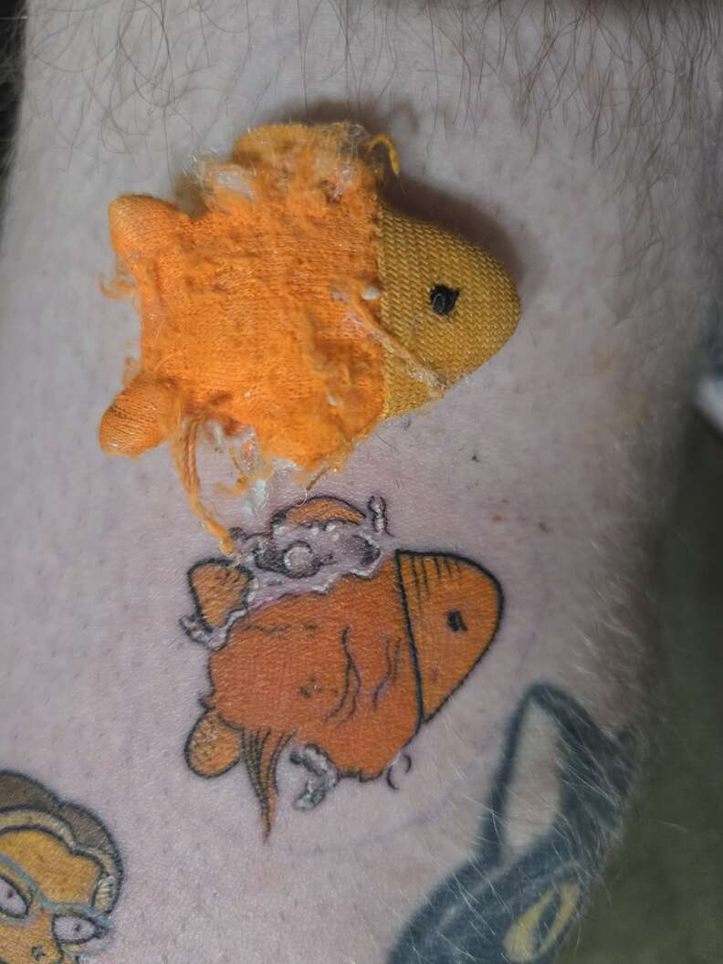 Walter's favorite chewed-up orange plush fish