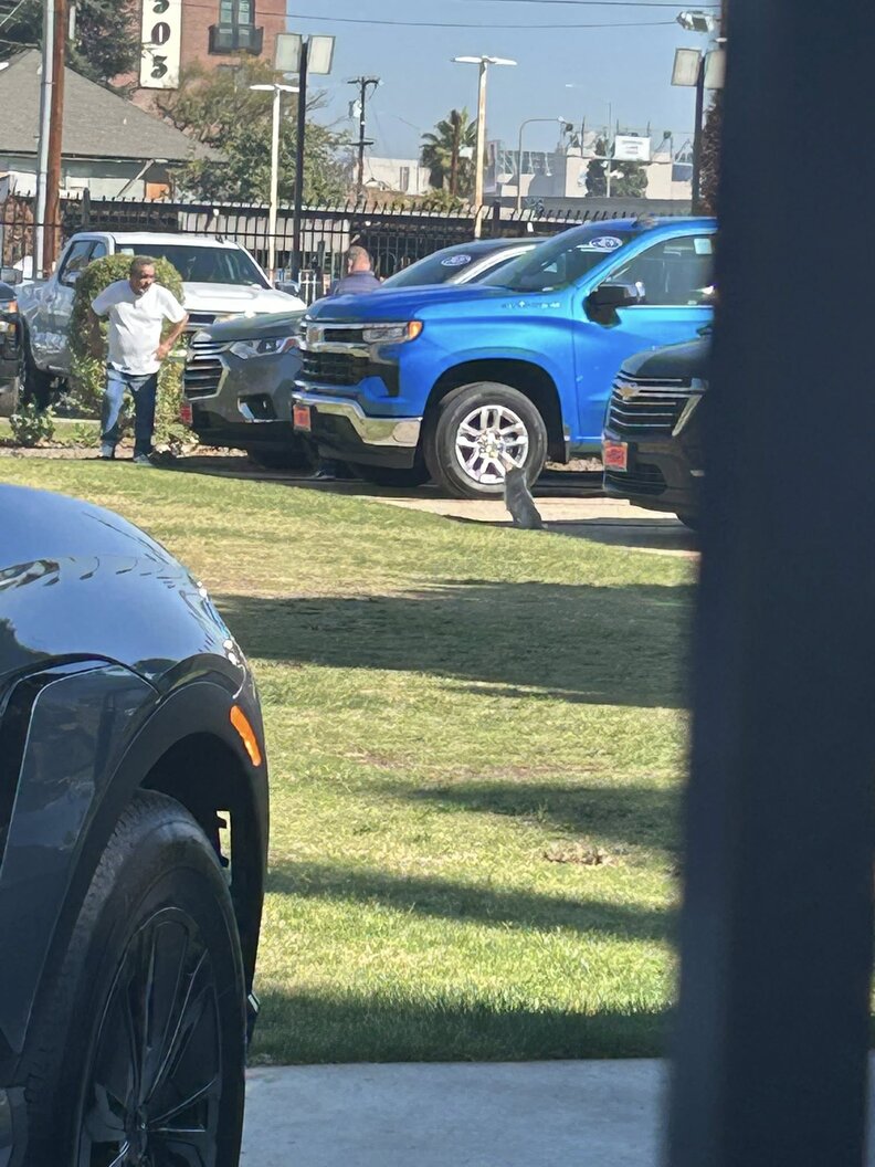 犬が顧客を追いかける様子