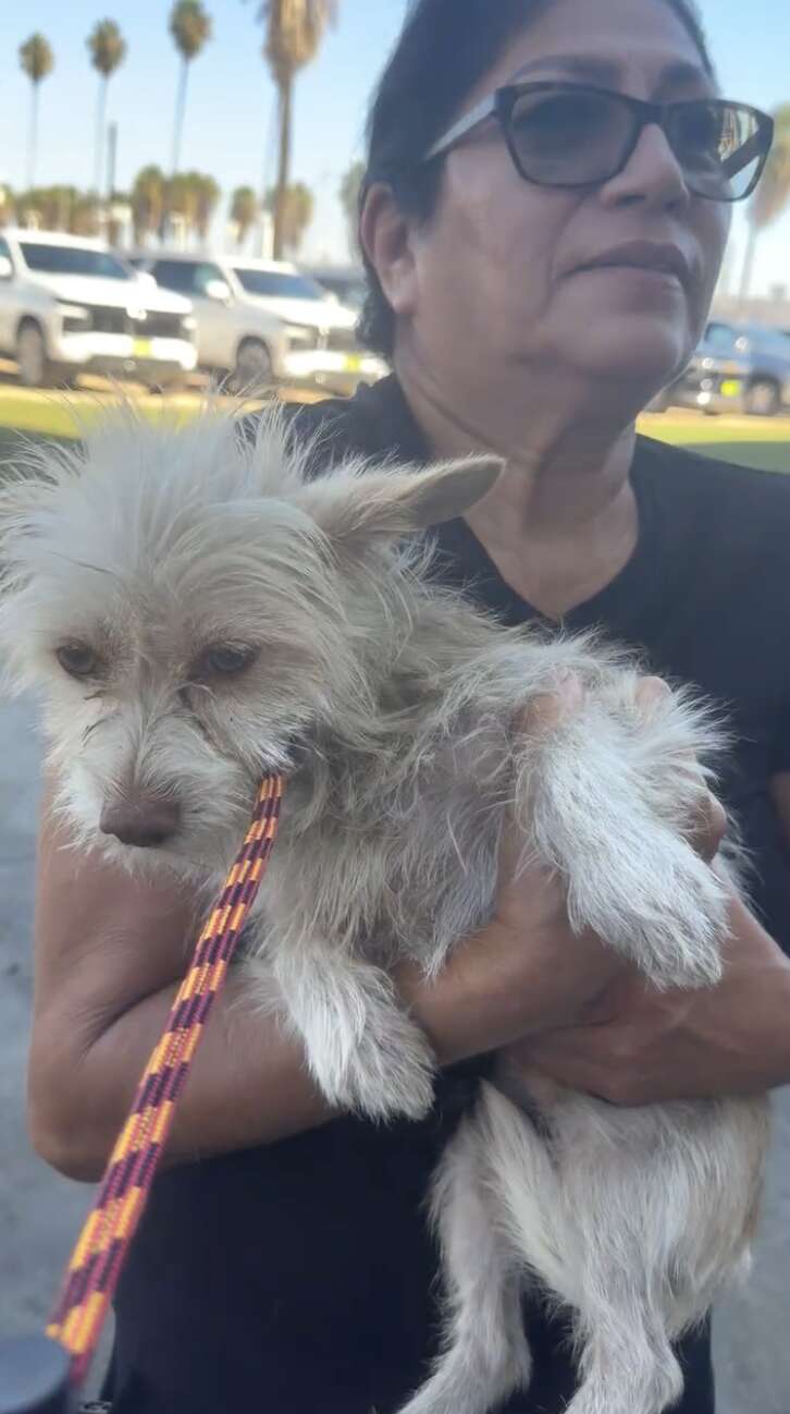 エンジェルが新しい環境で元気にしている様子