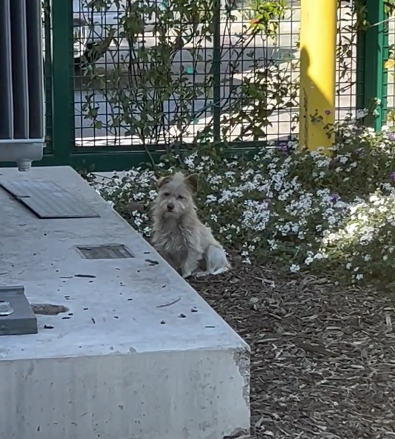 メアリーがエンジェルに近づく様子