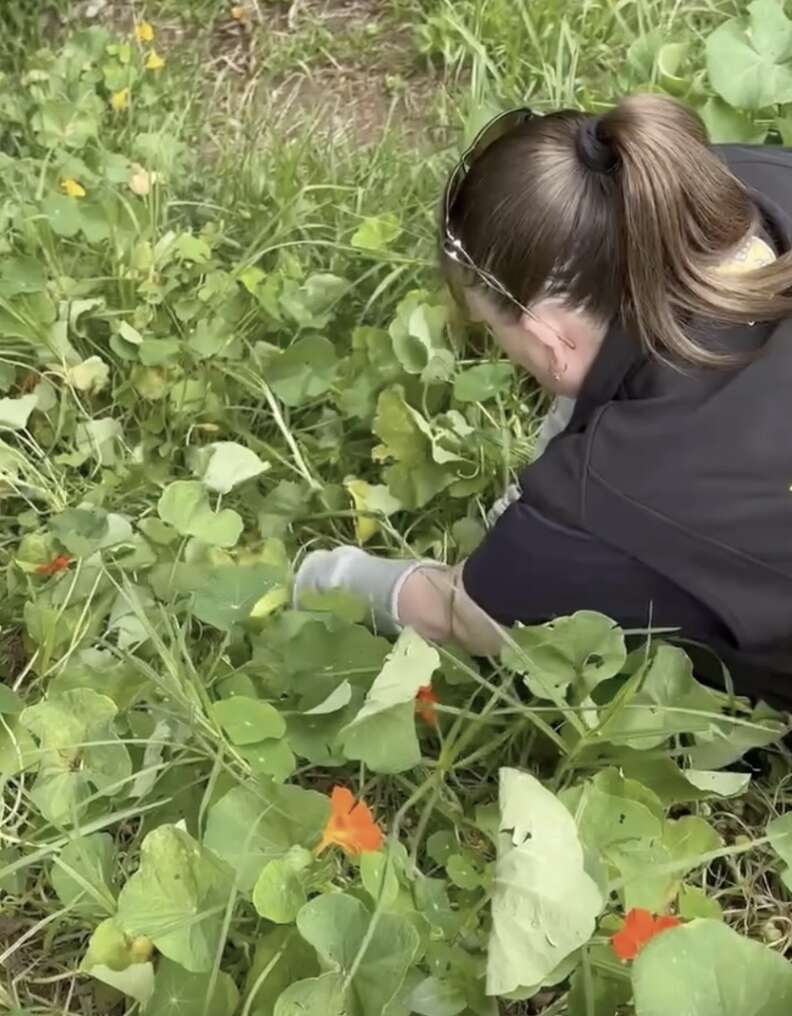 サッシーの様子